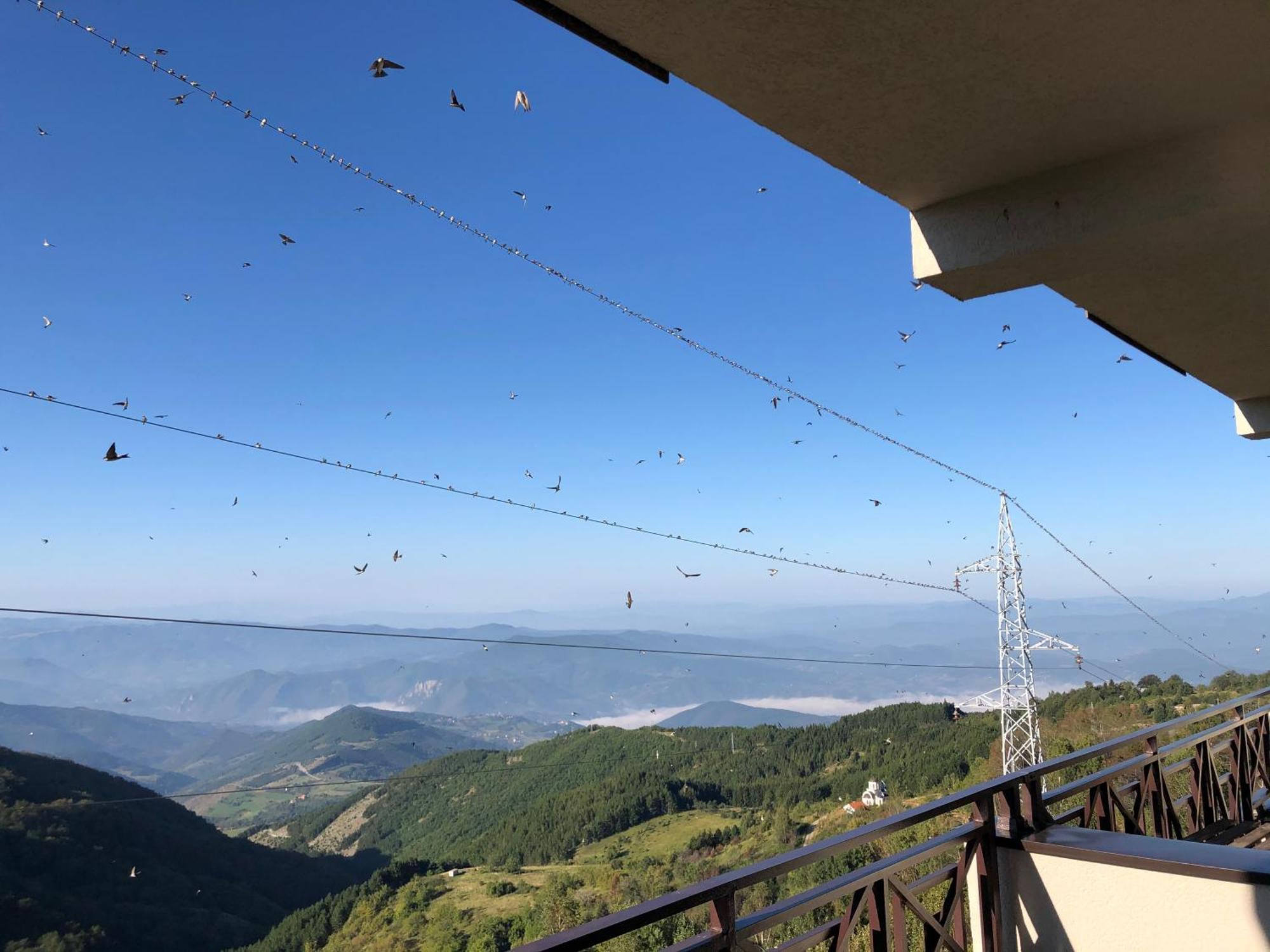 Milmari M12 Apartman Kopaonik Kültér fotó